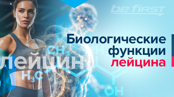 Биологические функции лейцина