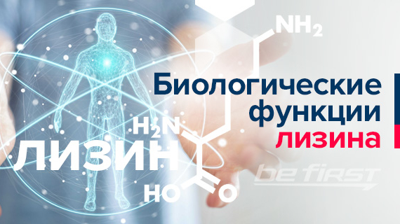 Биологические функции лизина
