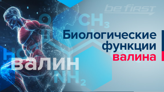 Биологические функции валина